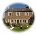 Bason Farm
