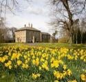 Chatton Park House B & B