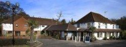 The Tree at Cadmore, High Wycombe, Buckinghamshire