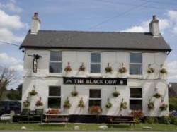 The Black Cow, Derby, Derbyshire