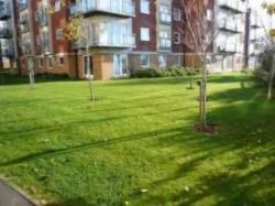 Berkshire Serviced Accommodation, Basingstoke, Hampshire