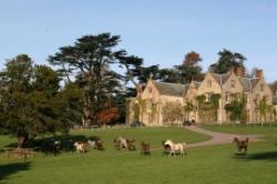 Combe House Devon, Exeter, Devon