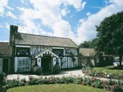 Bridleways Equestrian Centre, Leatherhead, Surrey