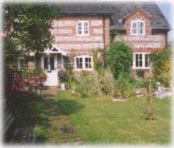 Shenlong Chinese Medicine, Bedford, Bedfordshire