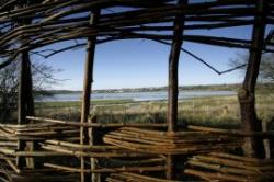 Royal Society for the Protection of Birds, Pulborough, Sussex