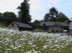 Brandyhouse Farm, Felindre, Mid Wales