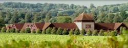 Old Freemans RFC, Ashtead, Surrey