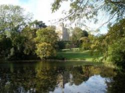 Hedingham Castle, Halstead, Essex