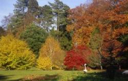 Batsford Arboretum, Moreton-in-Marsh, Gloucestershire