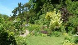 Cascades Gardens, Bonsall, Derbyshire