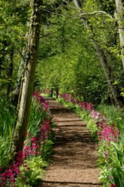 Fairhaven Woodland and Water Garden, Norwich, Norfolk