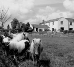 Jersey Farm Hotel, Barnard Castle, County Durham