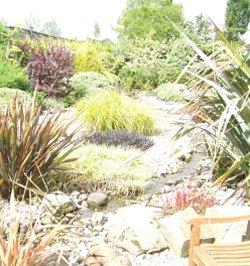 Paddock Farm Nursery & Water Gardens, Darlington, County Durham