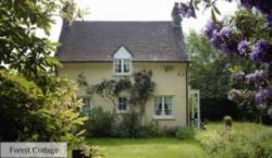 Forest Cottage, Cranbrook, Kent