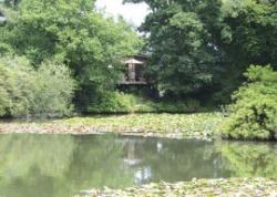 Indio Lake, Bovey Tracey, Devon