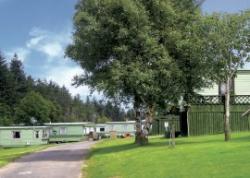 Springhouse Country Park, Hexham, Northumberland