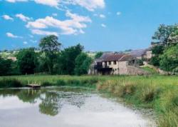 Violet Cottage at Bere Farm, Chard, Somerset