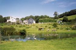 Knowle Farm, Totnes, Devon