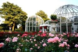 Birmingham Botanical Gardens & Glasshouses, Birmingham, West Midlands