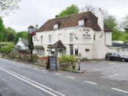 George & Falcon, Petersfield, Hampshire