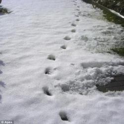 The Devil’s Footprints