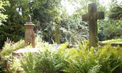 The Highgate Vampire