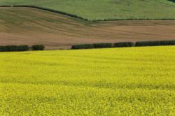 Scottish Borders & Sir Walter Scott, Borders