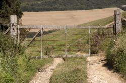 Thomas Hardy Country, Dorset