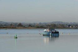 RSPB Dawn Cruises