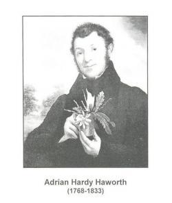 Adrian Haworth