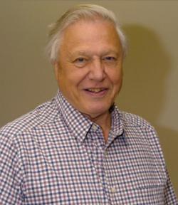 David  Attenborough