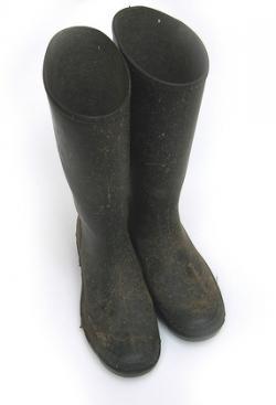 Wellington Boots