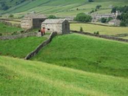 Yorkshire Dales