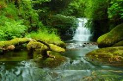 Aira Force