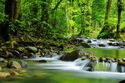 River Calder