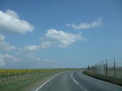 Camber Sands