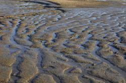 Thames Estuary