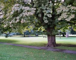 Bathwick