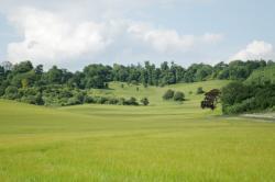 Capel-Le-Ferne