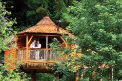 Sherwood Forest Lodges