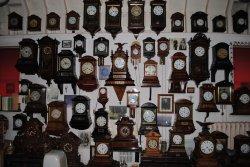 Cuckoo Land