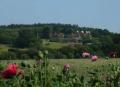 Three Chimneys Farm