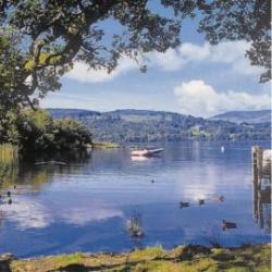 White Cross Bay Holiday Park