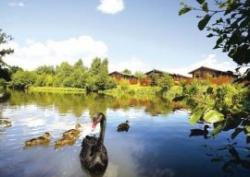 Ashlea Pools Country Park