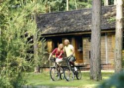 Griffon Forest Lodges