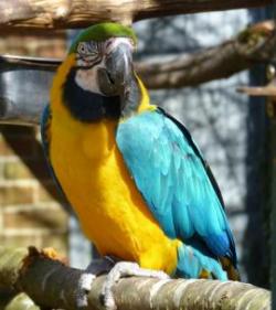 Birdworld