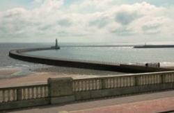 Tavistock Sea View Apartments