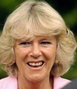 Marriage of Prince Charles and Camilla announced