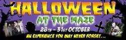 Halloween at the National Forest Maize Maze!