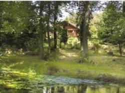 Conifer Lodges